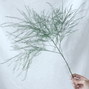 FRESH FLOWER ASPARAGUS