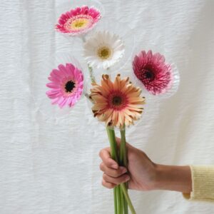 FRESH FLOWER GERBERA