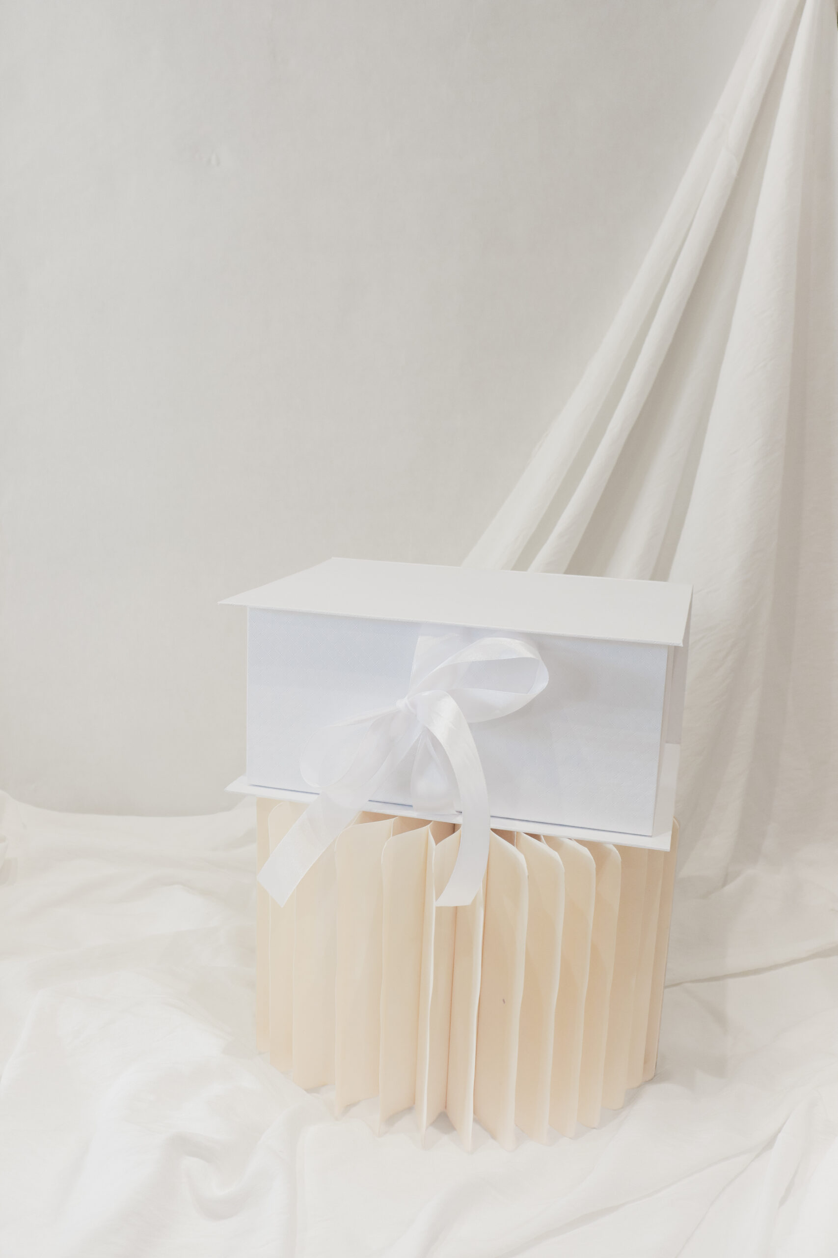 RIBBON BOUND BOX - Image 5