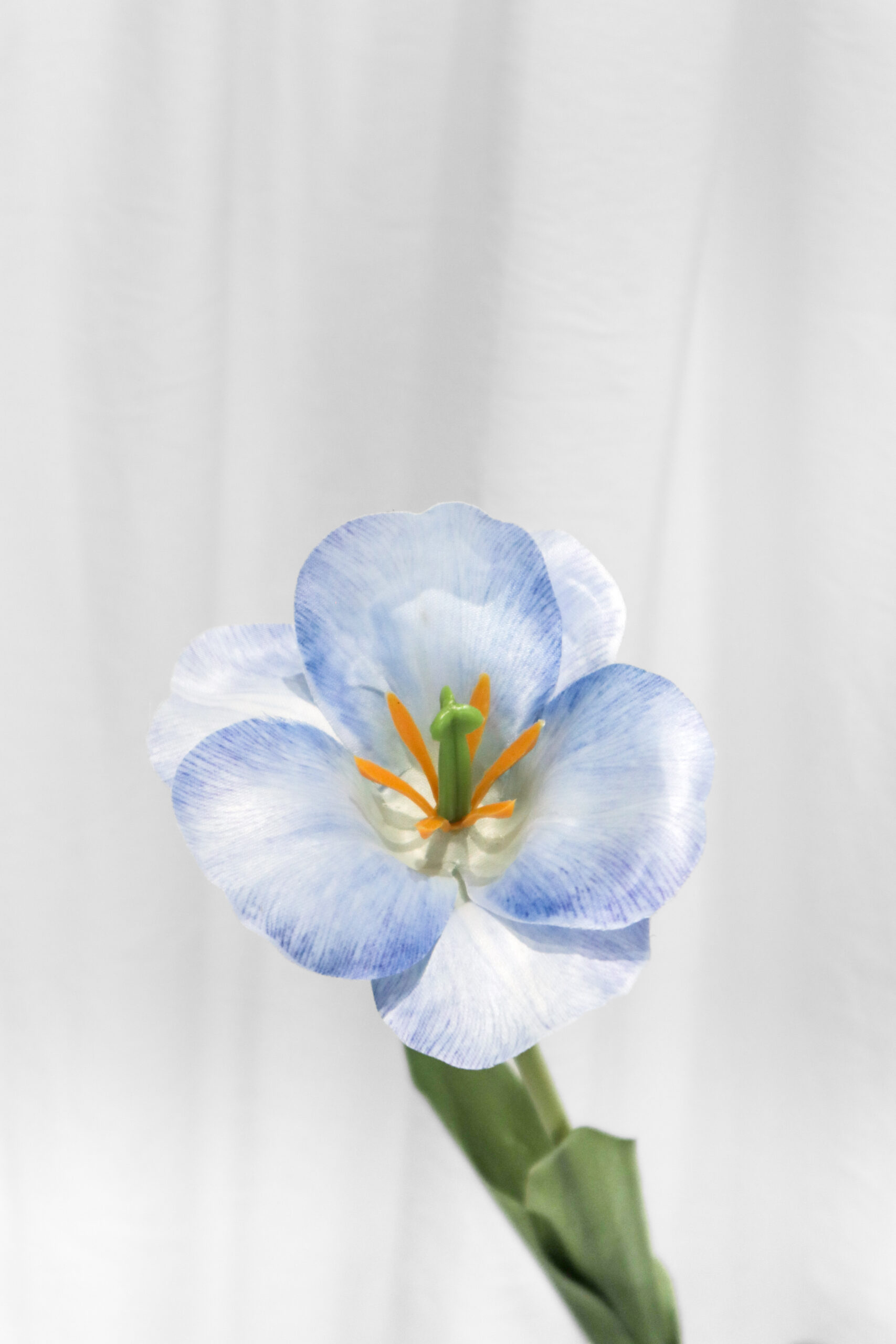 TULIP FLEX - Image 7