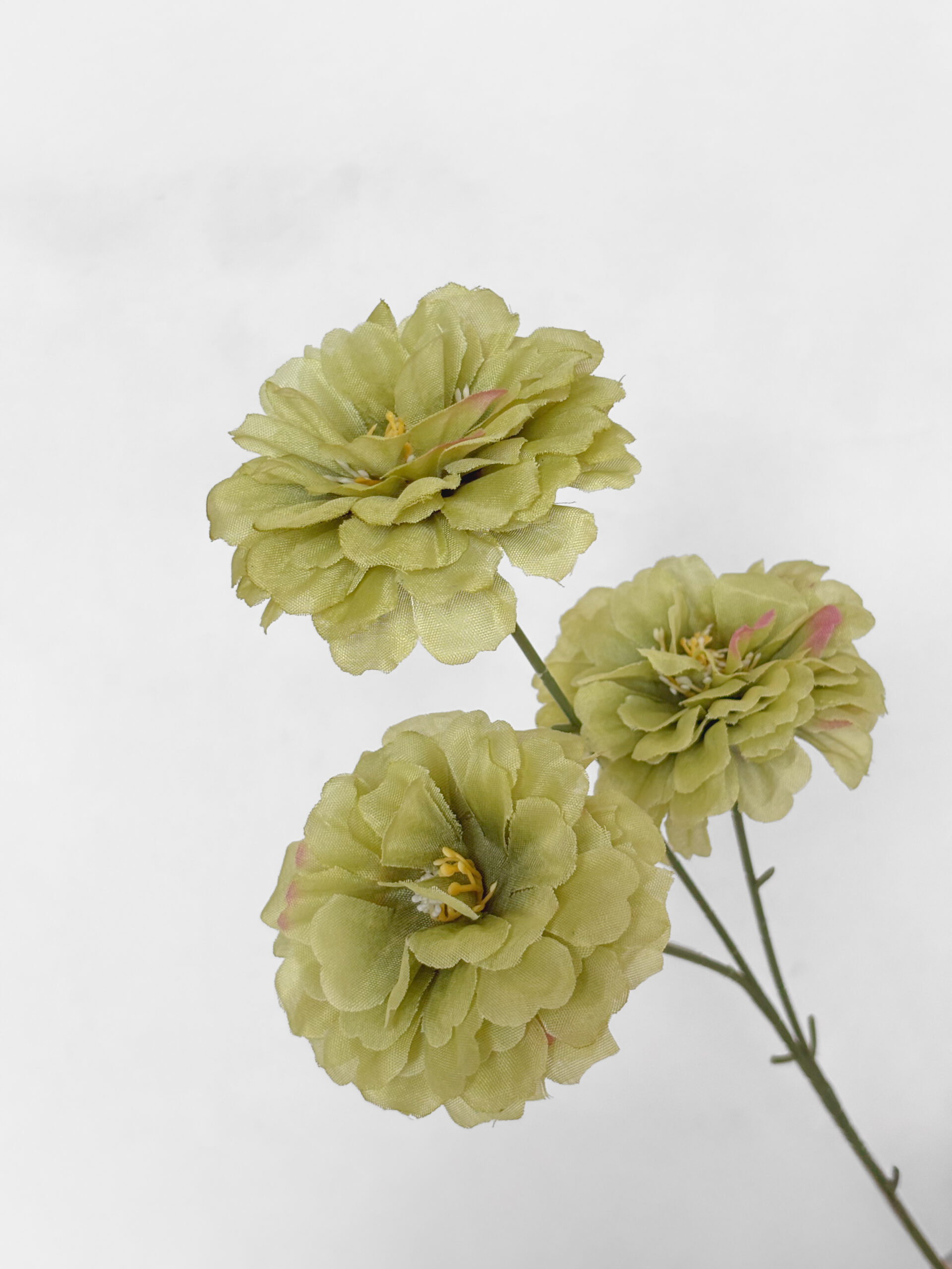 PEONY BLOOM - Image 5