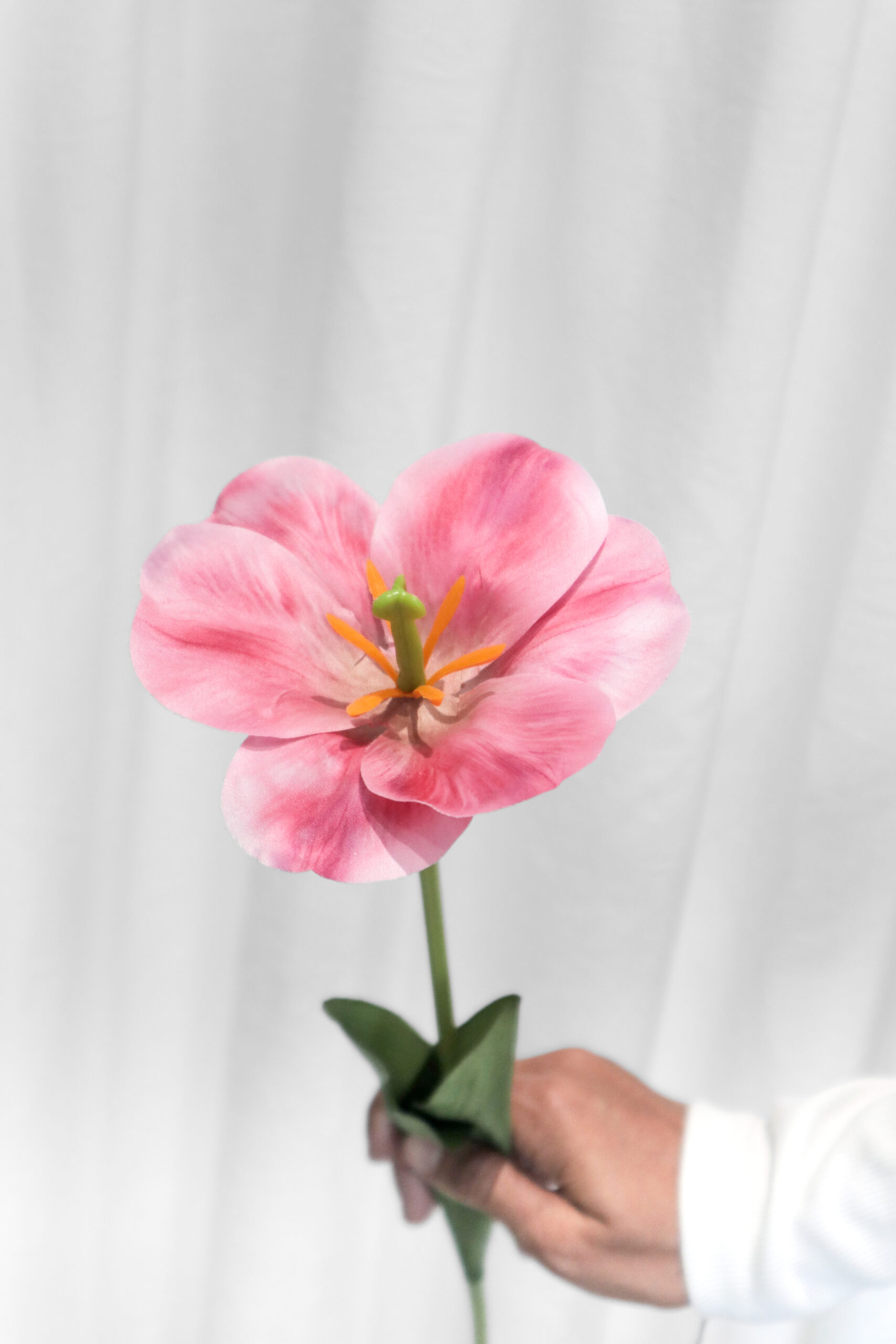 TULIP FLEX - Image 6