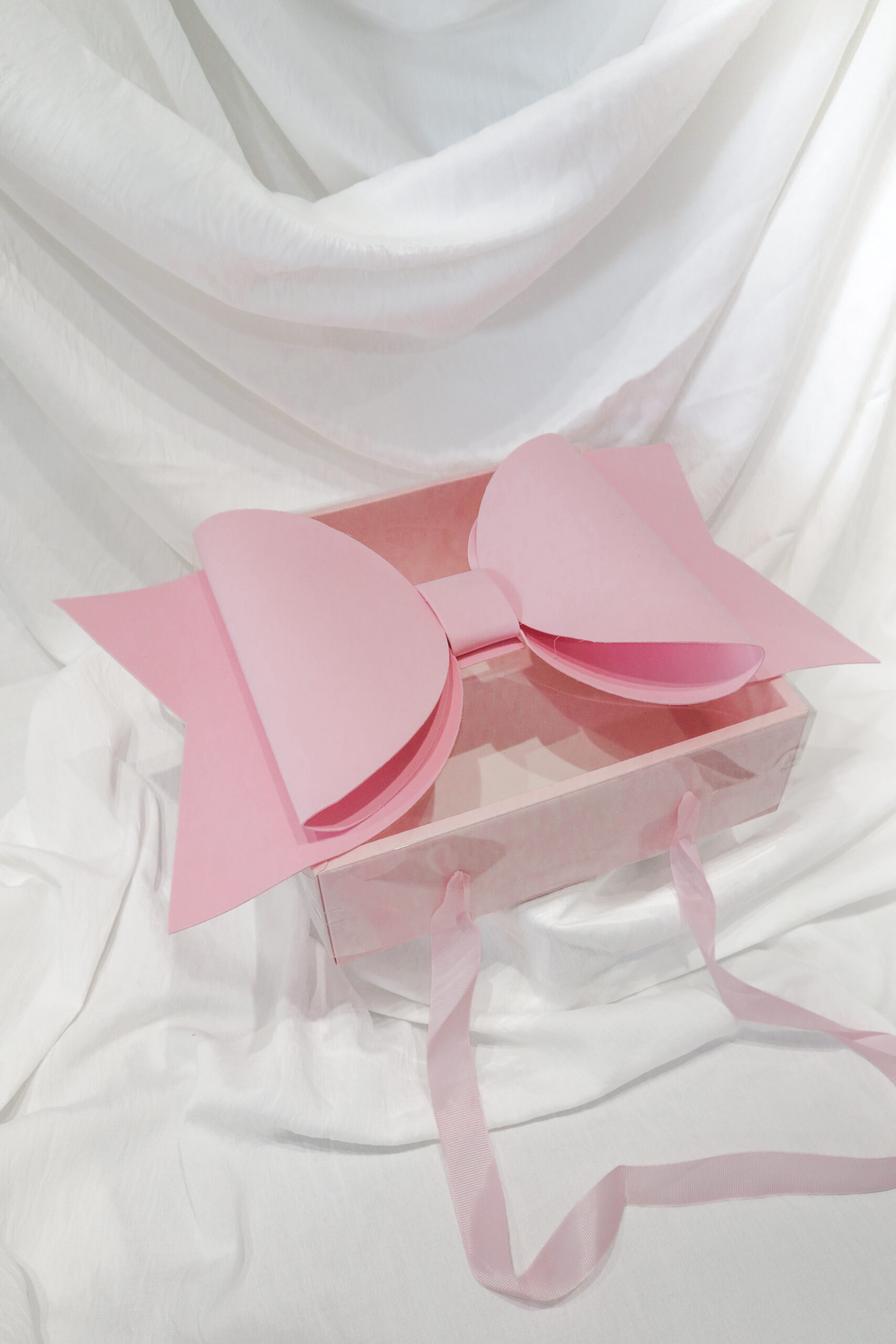 BIG RIBBON BOX - Image 3