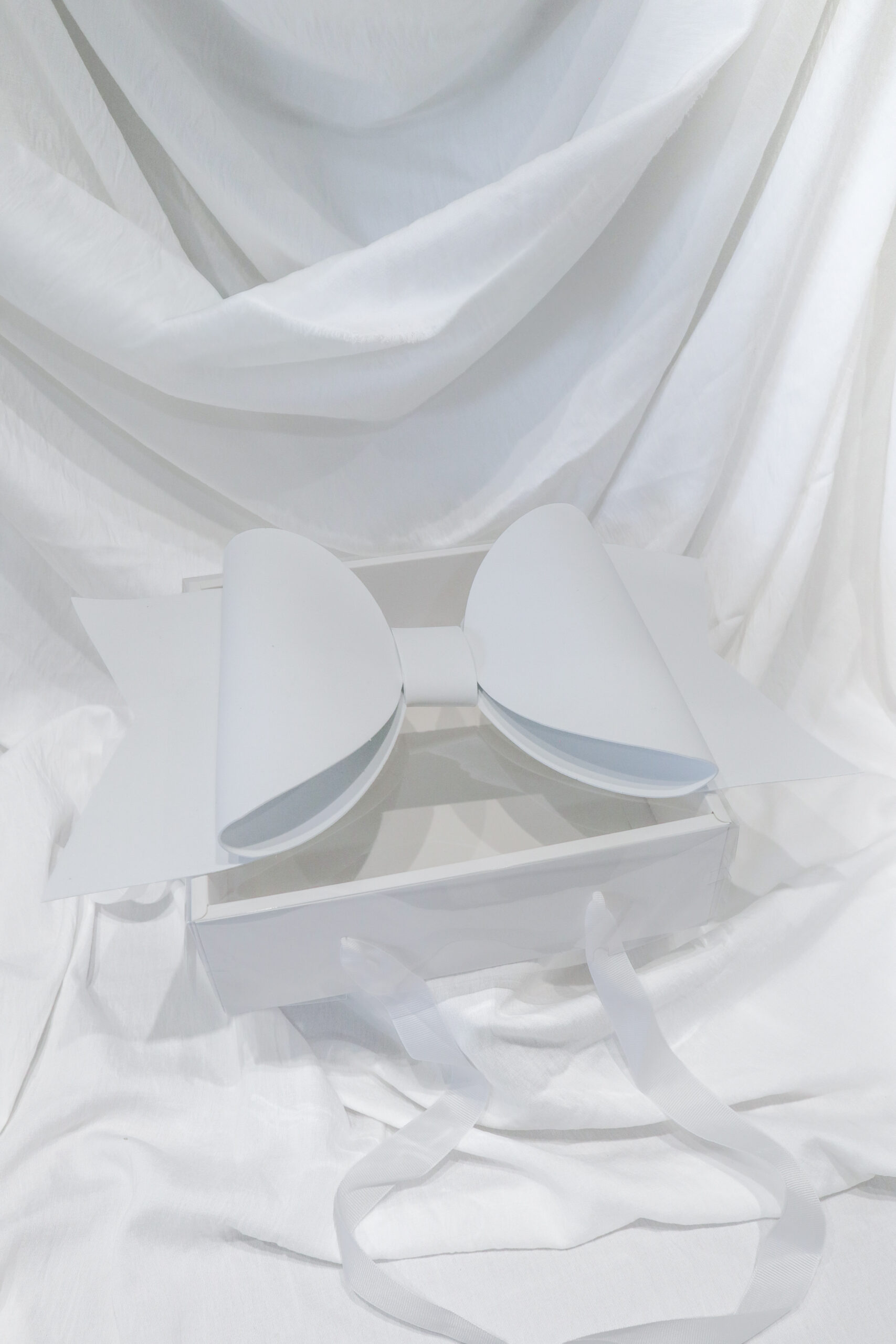 BIG RIBBON BOX - Image 4