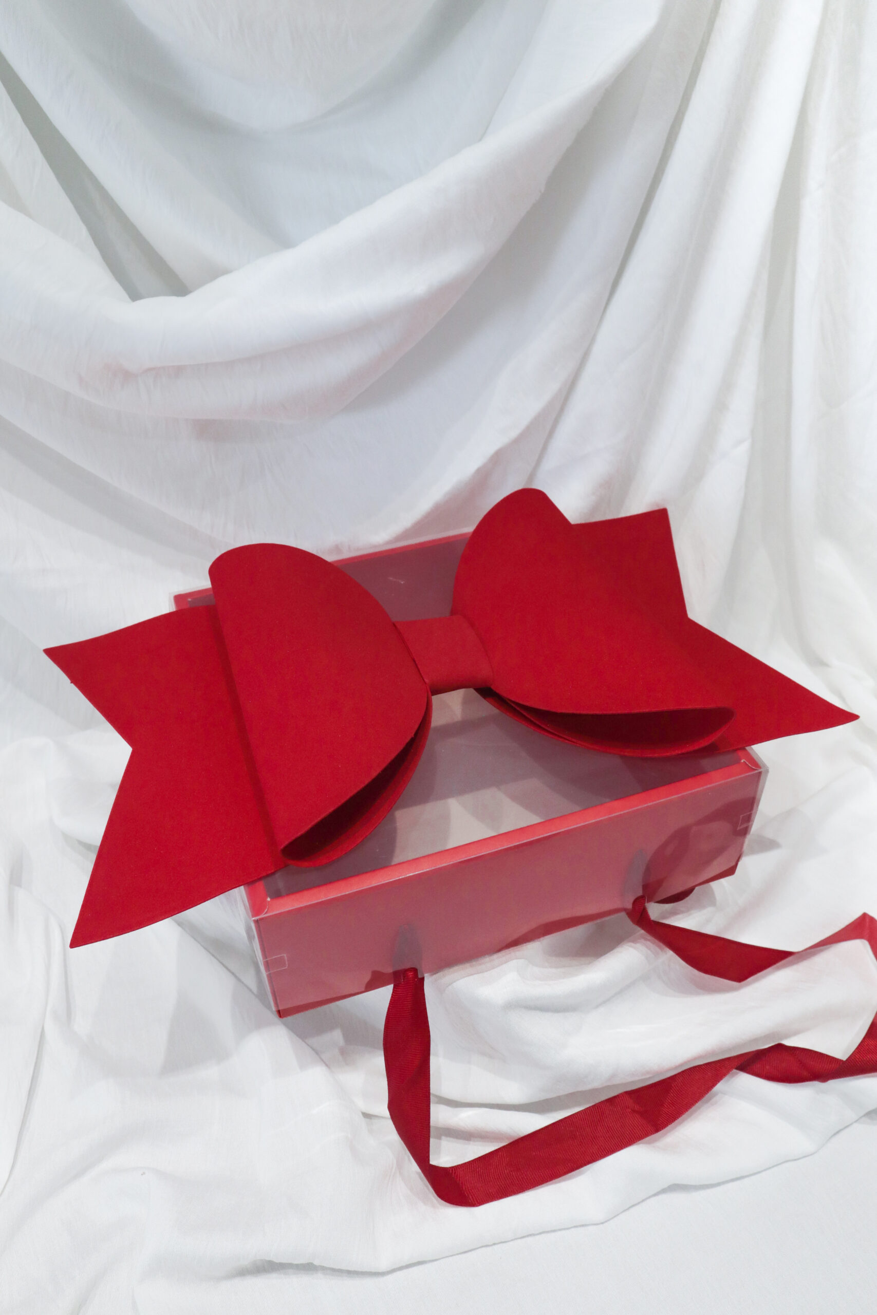 BIG RIBBON BOX - Image 5
