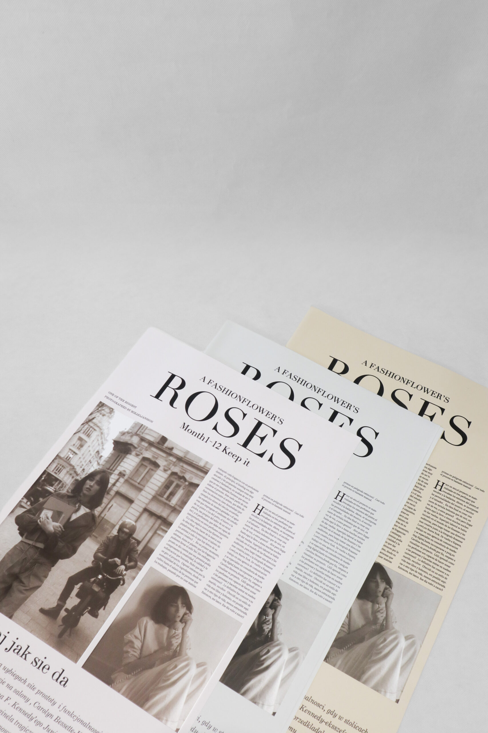 NEWSPAPER ROSES - Image 5