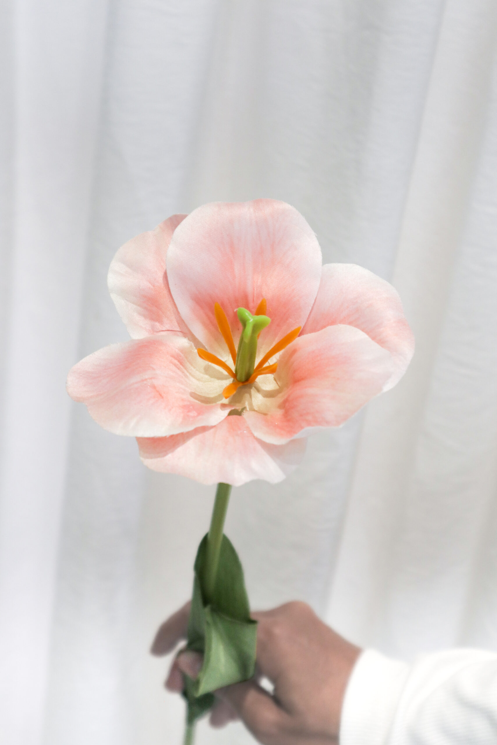 TULIP FLEX - Image 4