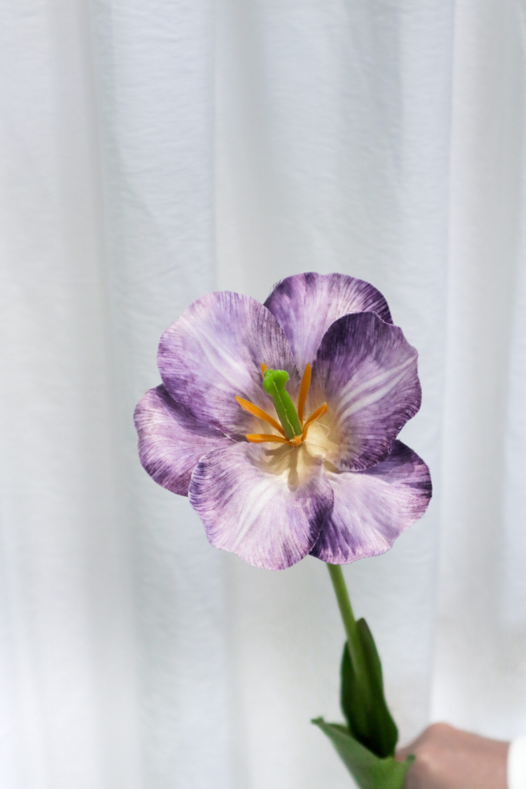 TULIP FLEX - Image 8