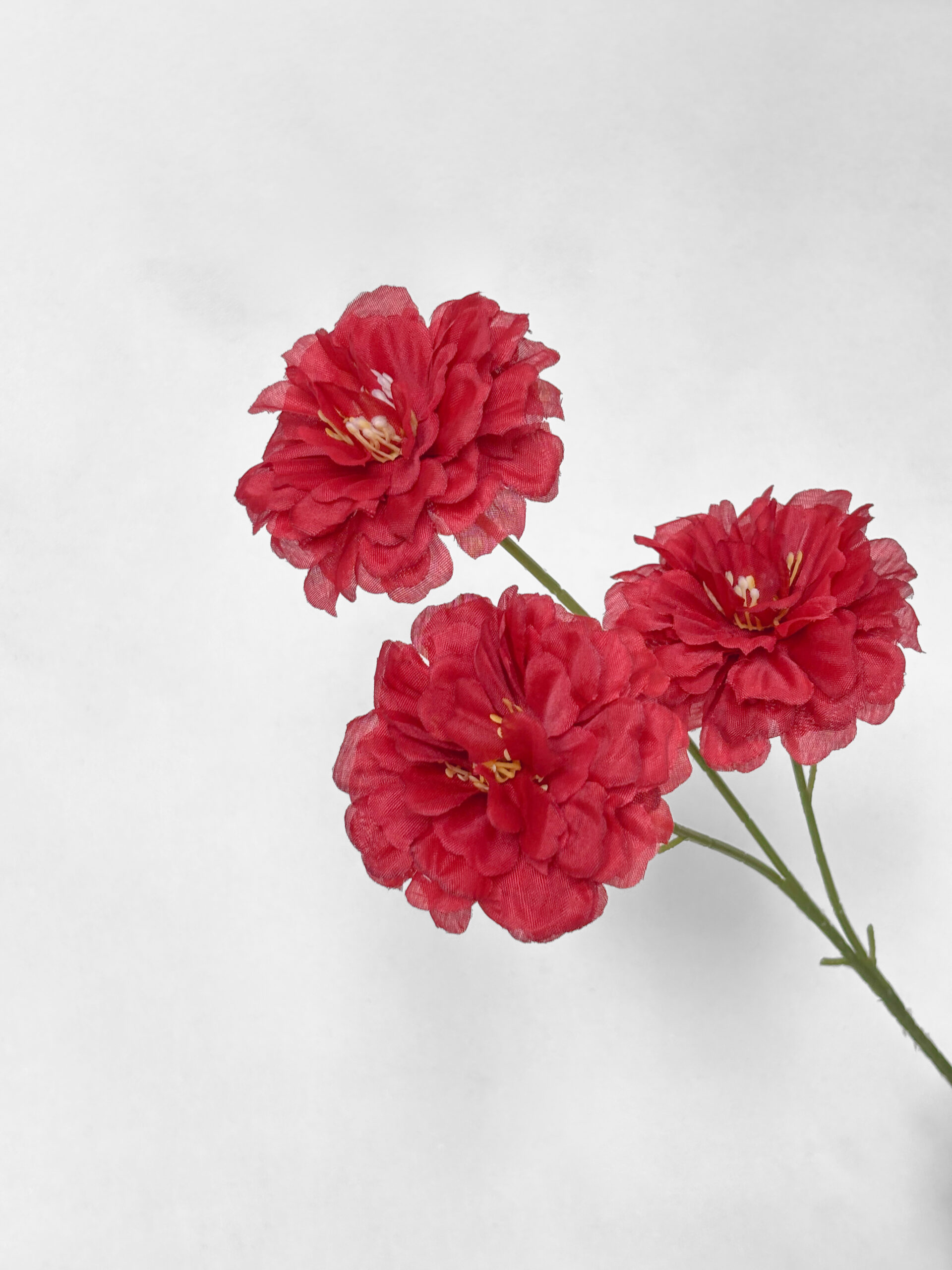 PEONY BLOOM - Image 3