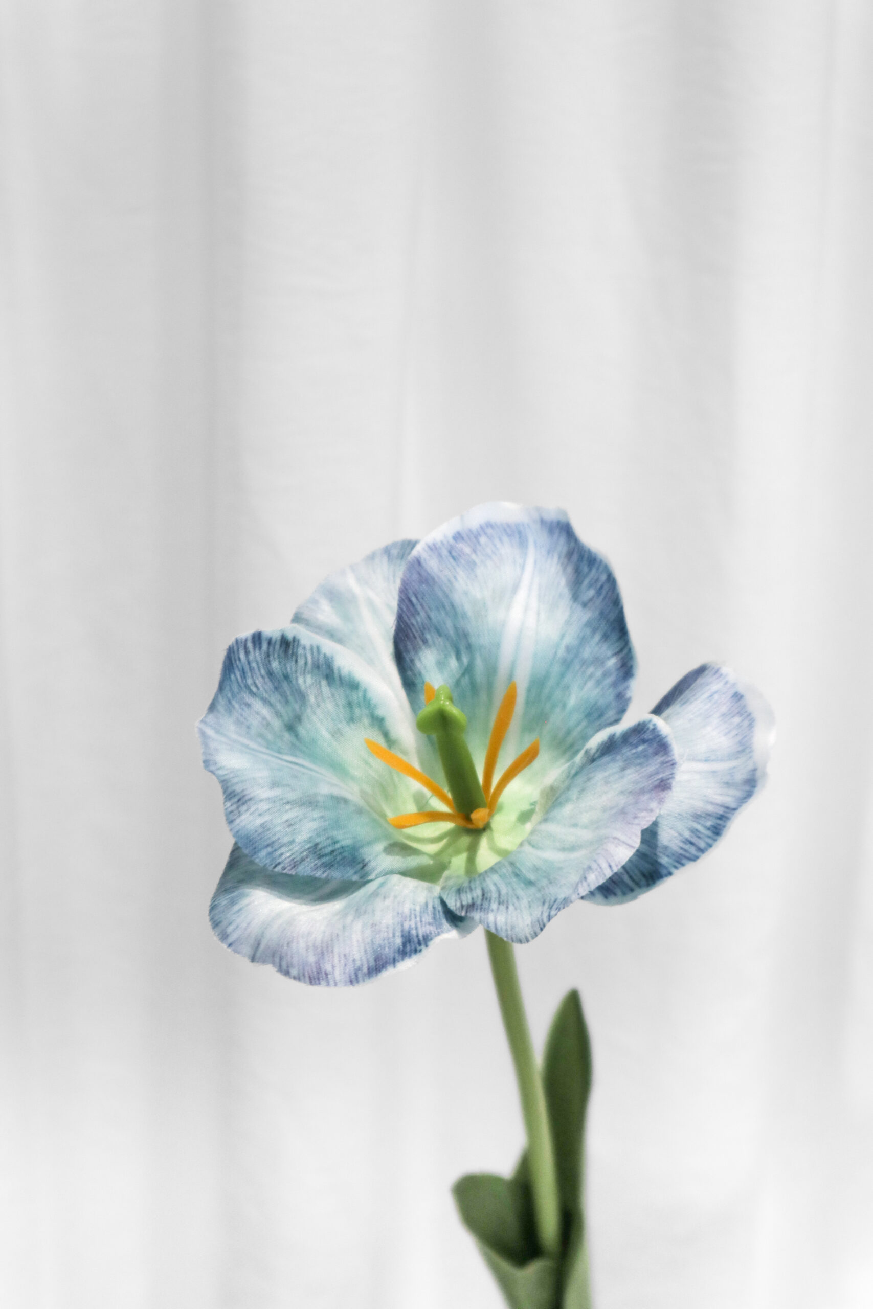 TULIP FLEX - Image 3