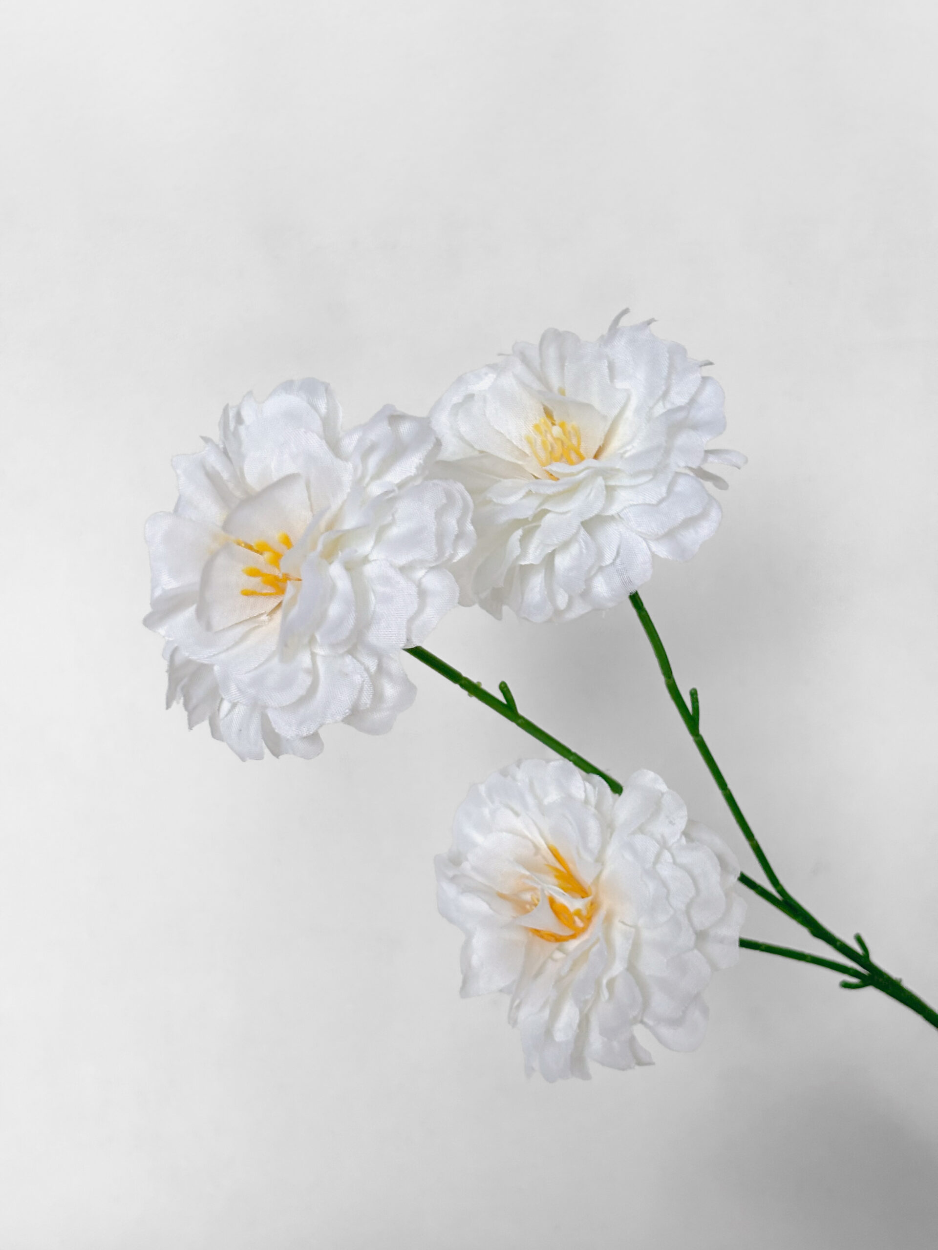 PEONY BLOOM - Image 4